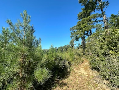 Parcel E Millside Rd, Laurel Hill, FL 32567 - photo 3