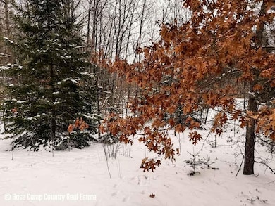 0 Forest Hill Dr unit 25754675, Townsend, WI 54175 - photo 7