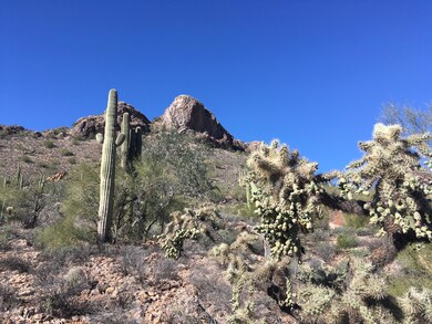 Back view from back of lot