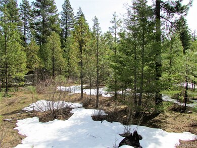 10370 Washington 903, Ronald, WA 98940 - photo 7