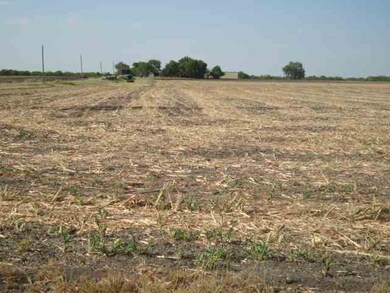 14376 Fm 428, Celina, TX 75009 - photo 7