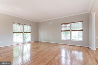 20329 Briarcliff Terrace, Sterling, VA 20165 - photo 5