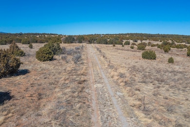 755 Juan Tomas Rd, Tijeras, NM 87059 - photo 3