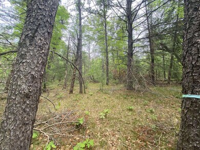 0 Stitt Ln unit 201835231, Mio, MI 48647 - photo 2