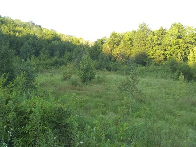 IMG_20190803_192313836