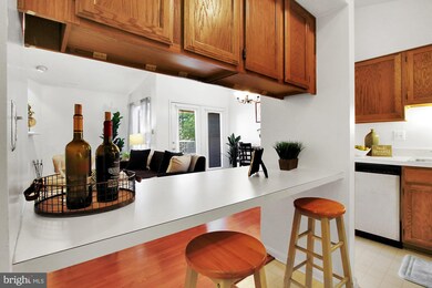 2110 White Hall Rd unit 2A, Frederick, MD 21701 - photo 7