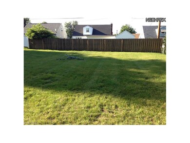 Large flat back yard