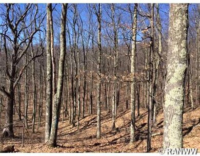 0 Parker Rd unit 888081, Trego, WI 54888 - photo 3