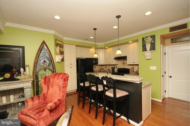 24674 Hutchinson Farm Dr, Sterling, VA 20166 - photo 3