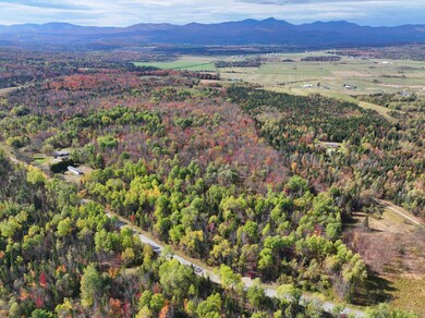 1414 Collins Mill Rd, Newport Center, VT 05857 - photo 4