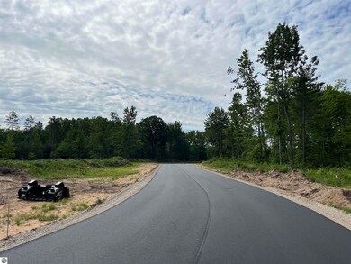 TBD Hoosier Flats Rd unit B, Traverse City, MI 49685 - photo 5