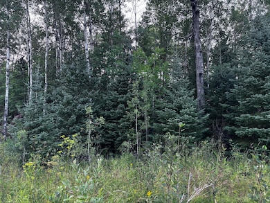 TBD U S Highway 71, Littlefork, MN 56653 - photo 2