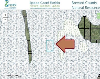 canavera gis