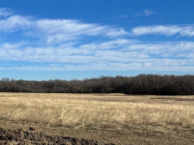 Lot 9 Chandler Dr, Eureka, TX 75109 - photo 7