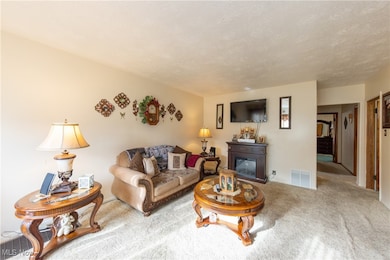 1411 Chapman Dr, Akron, OH 44305 - photo 2