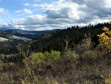 289 Freedom Way, Kooskia, ID 83539 - photo 3