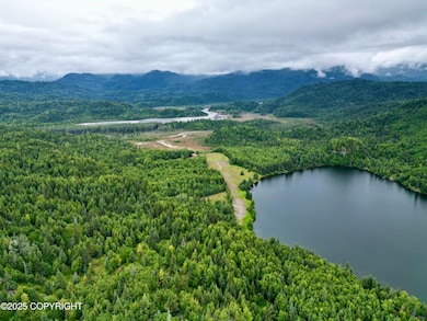 Tr A-2 Pomeroy Rd, Homer, AK 99603 - photo 2