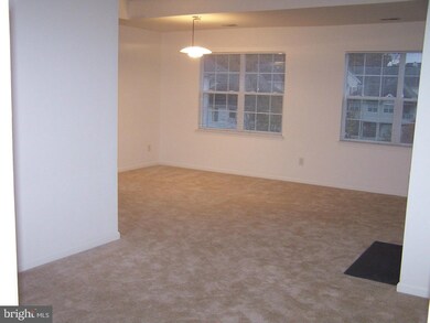 9685 Devedente Dr unit ., Owings Mills, MD 21117 - photo 4