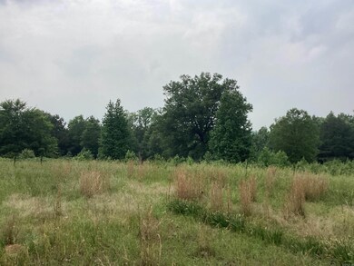 000 Hempstead 24 Rd, Blevins, AR 71825 - photo 3