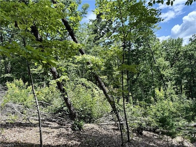 TBD Widow Mountain Dr, McGrady, NC 28635 - photo 6