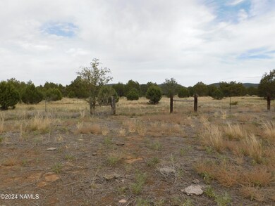 817 W Highland St, Ash Fork, AZ 86320 - photo 7