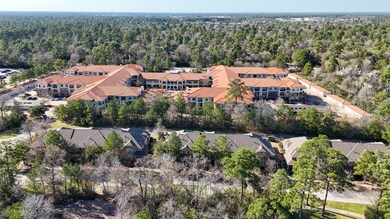 31 W Pipers Green St, Spring, TX 77382 - photo 3