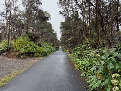 At Subject Property (SP) on right, looking  Northeast towards Hilo.