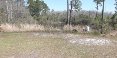 124 Ariana Cove, Crawfordville, FL 32327 - photo 3
