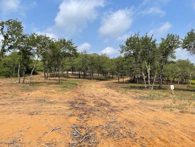 TBD - Lot 88 Blissful Ct, Graford, TX 76449 - photo 4