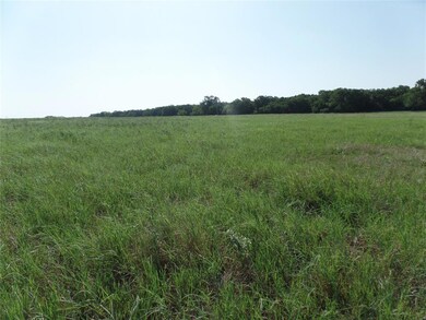 12203 Farm Road 3025, Stephenville, TX 76401 - photo 6