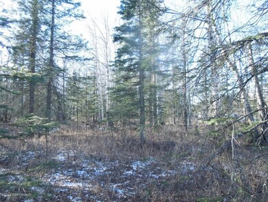 Interior 4