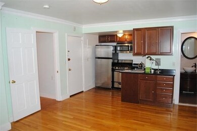 30 Worcester Square unit 3, Boston, MA 02118 - photo 3