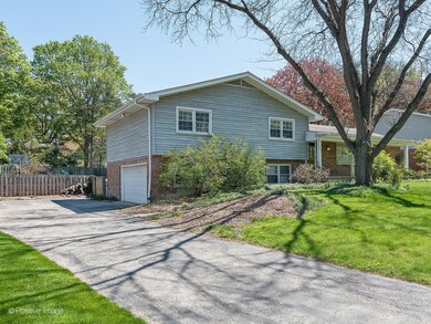 1205 S Main St, Wheaton, IL 60189 - photo 2