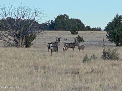 11975 W Dozer Ave, Ash Fork, AZ 86320 - photo 3