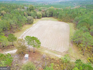 0 Fall Line High Fence unit 10648976, Ellaville, GA 31806 - photo 6