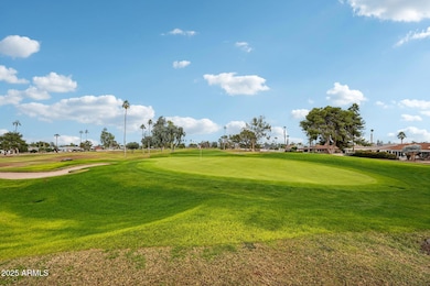 13038 W Castlebar Dr, Sun City West, AZ 85375 - photo 5