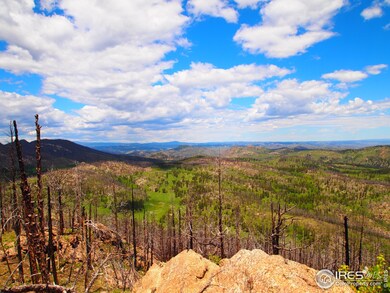 0 Davis Ranch Rd unit 785073, Bellvue, CO 80512 - photo 5
