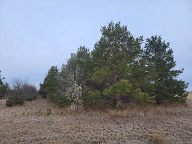 156 Preserve Place Rd, Bottineau, ND 58318 - photo 4