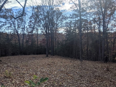 0 the Village of Dale Hollow unit 12, Burkesville, KY 42717 - photo 5