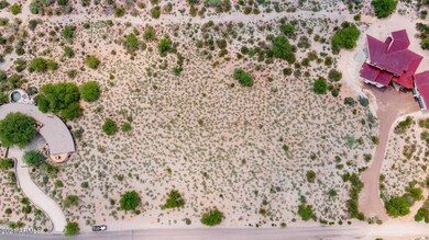 0007-06-Mesquite