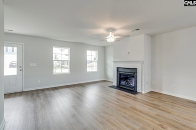 660 Clementine Run, Gilbert, SC 29054 - photo 5