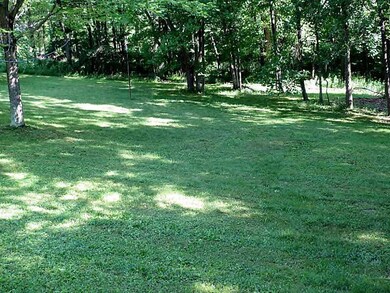 Yard/Garden.