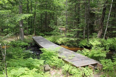 1147 Province Lake Rd, Effingham, NH 03882 - photo 6