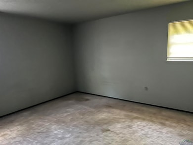 Carpeted empty room featuring baseboards