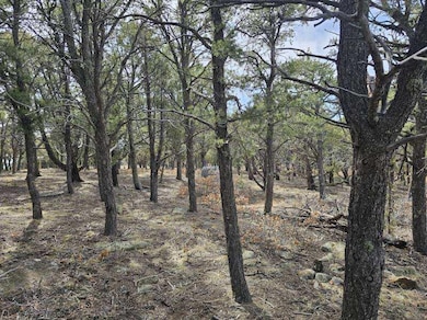 image000008(3)