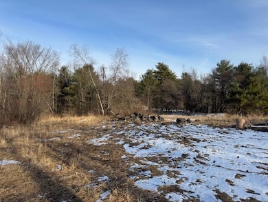 image8