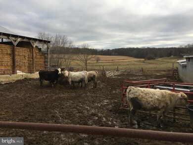 6828 White Rock Rd, Sykesville, MD 21784 - photo 7