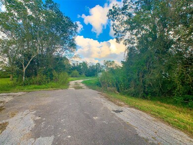 3503 County Road 161, Alvin, TX 77511 - photo 2