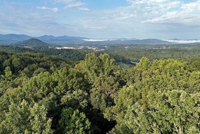 L 48C Byron St, Blairsville, GA 30512 - photo 5