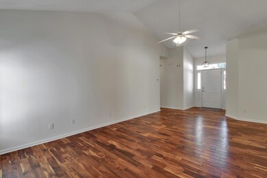 434 S Piazza Ct, Mount Pleasant, SC 29464 - photo 4